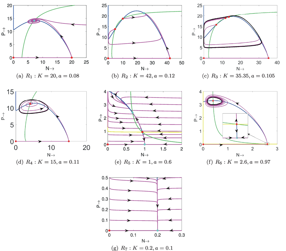 Dynamic Interplay: Cooperative Hunting Strategies in a Predator-Prey Model  with Smith Growth Dynamics | Brazilian Journal of Physics
