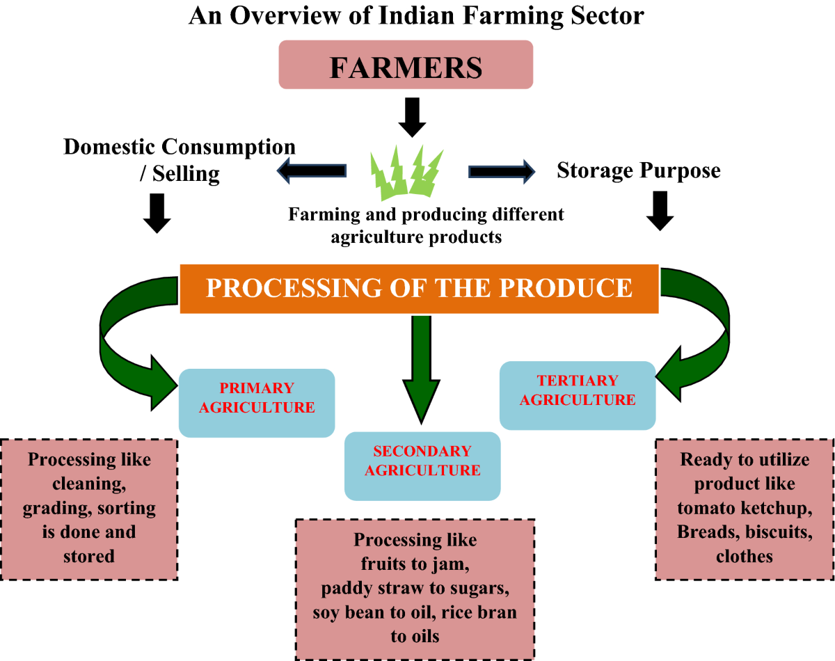 Retrospect and prospects of secondary agriculture and bioprocessing |  Journal of Plant Biochemistry and Biotechnology, image size:1200x950