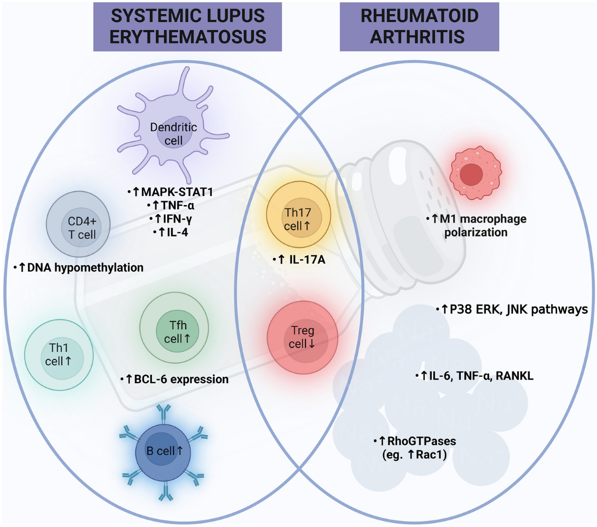 tirzepatide versus semaglutide side effects Can you alternate semaglutide and tirzepatide?