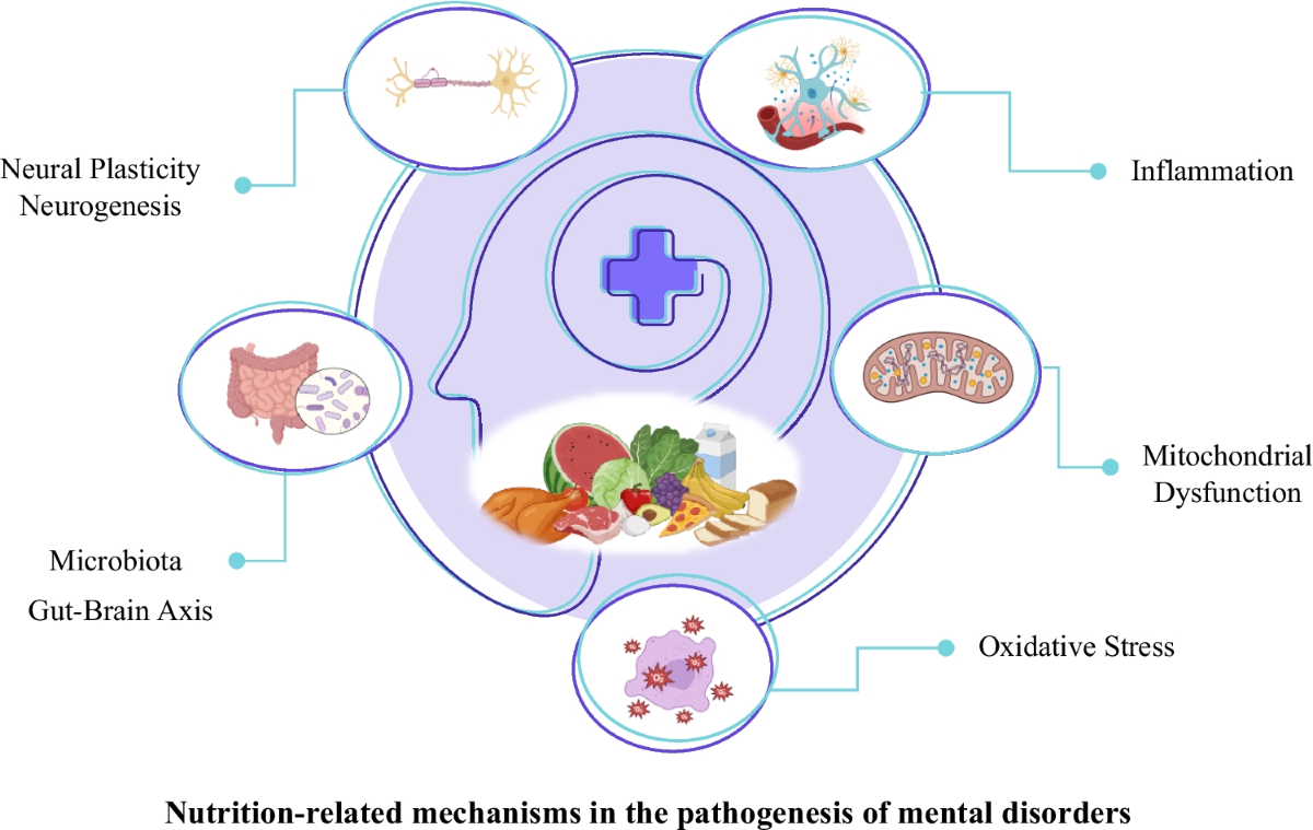 low glutathione levels & mental illness Changes in of the antioxidant in brain and blood across the age span of healthy adults: A systematic review 5 Glutathione Benefits for Your