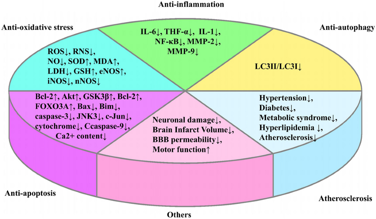 does coq10 increase glutathione Therapeutic Effects of Coenzyme Q10 in the Treatment of Ischemic Stroke |  Current Nutrition Reports