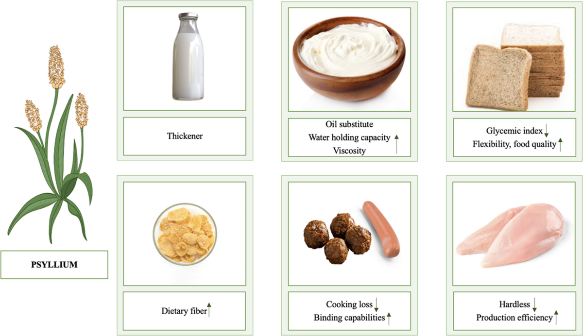 does psyllium husk increase glp 1 From Husks and Seeds to Health: an Inevitable Outcome Rather than a Fluke |  Current Nutrition Reports