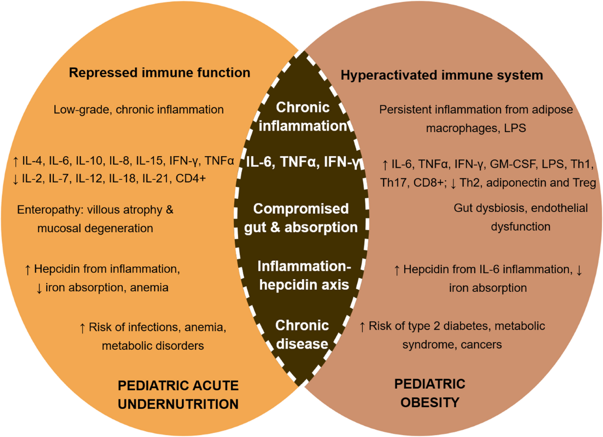 Two Sides of a Coin: Molecular, metabolic, and Phenotypic Convergence in  Pediatric Undernutrition and Obesity | Current Obesity Reports