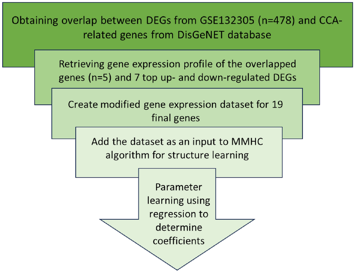 Discovering new interaction between genes in extrahepatic  Cholangiocarcinoma using Bayesian networks | Network Modeling Analysis in  Health Informatics and Bioinformatics