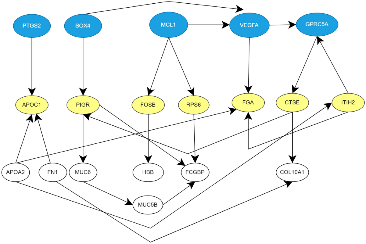 Discovering new interaction between genes in extrahepatic  Cholangiocarcinoma using Bayesian networks | Network Modeling Analysis in  Health Informatics and Bioinformatics