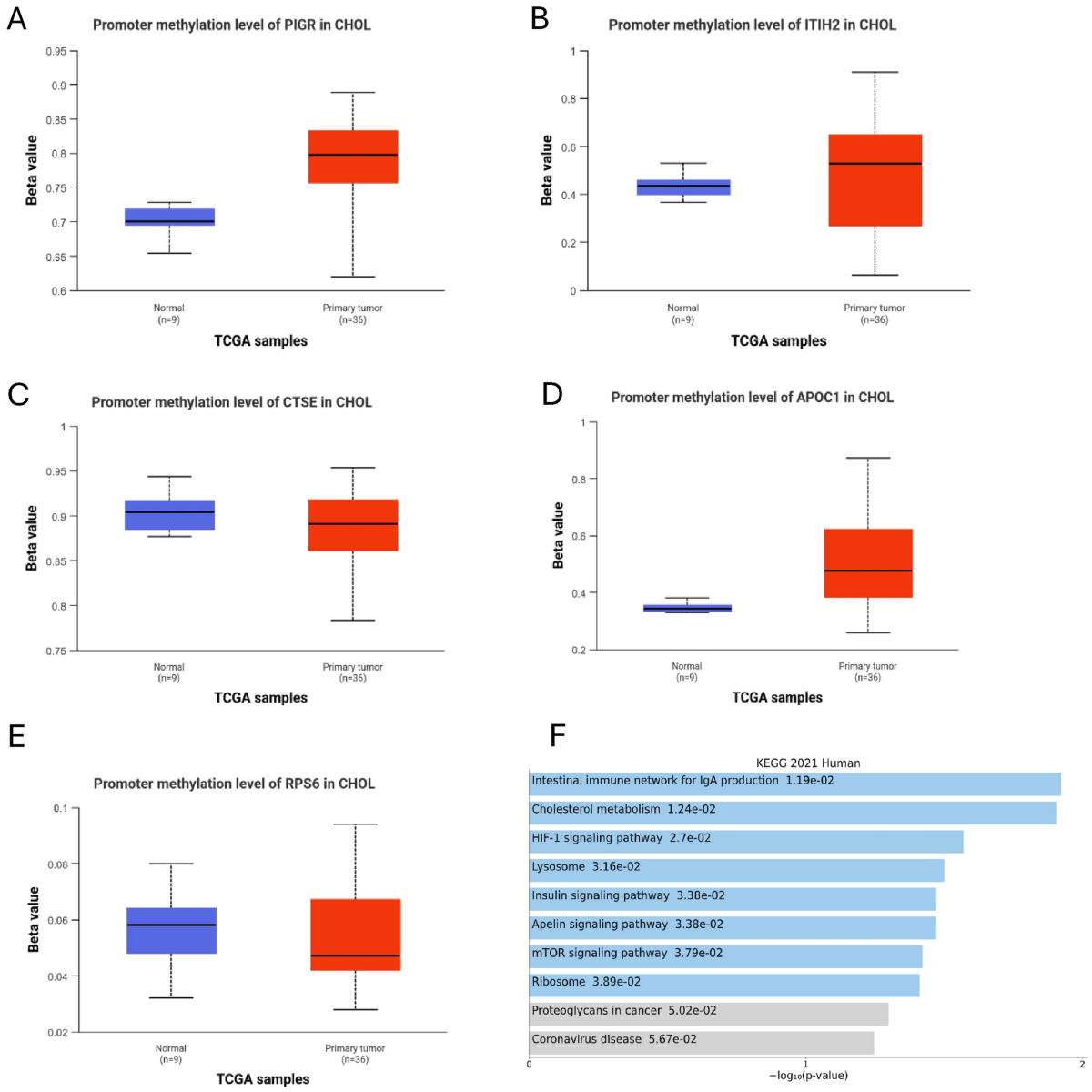 Discovering new interaction between genes in extrahepatic  Cholangiocarcinoma using Bayesian networks | Network Modeling Analysis in  Health Informatics and Bioinformatics