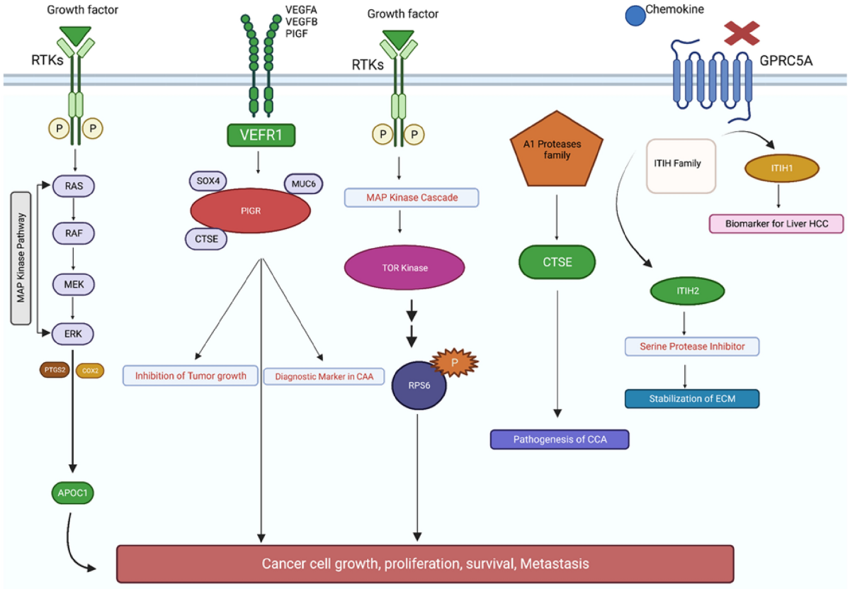 Discovering new interaction between genes in extrahepatic  Cholangiocarcinoma using Bayesian networks | Network Modeling Analysis in  Health Informatics and Bioinformatics