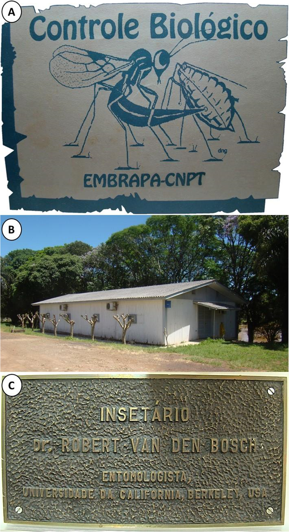 Historical and Contemporary Perspectives on the Biological Control of  Aphids on Winter Cereals by Parasitoids in South America | Neotropical  Entomology | Springer Nature Link