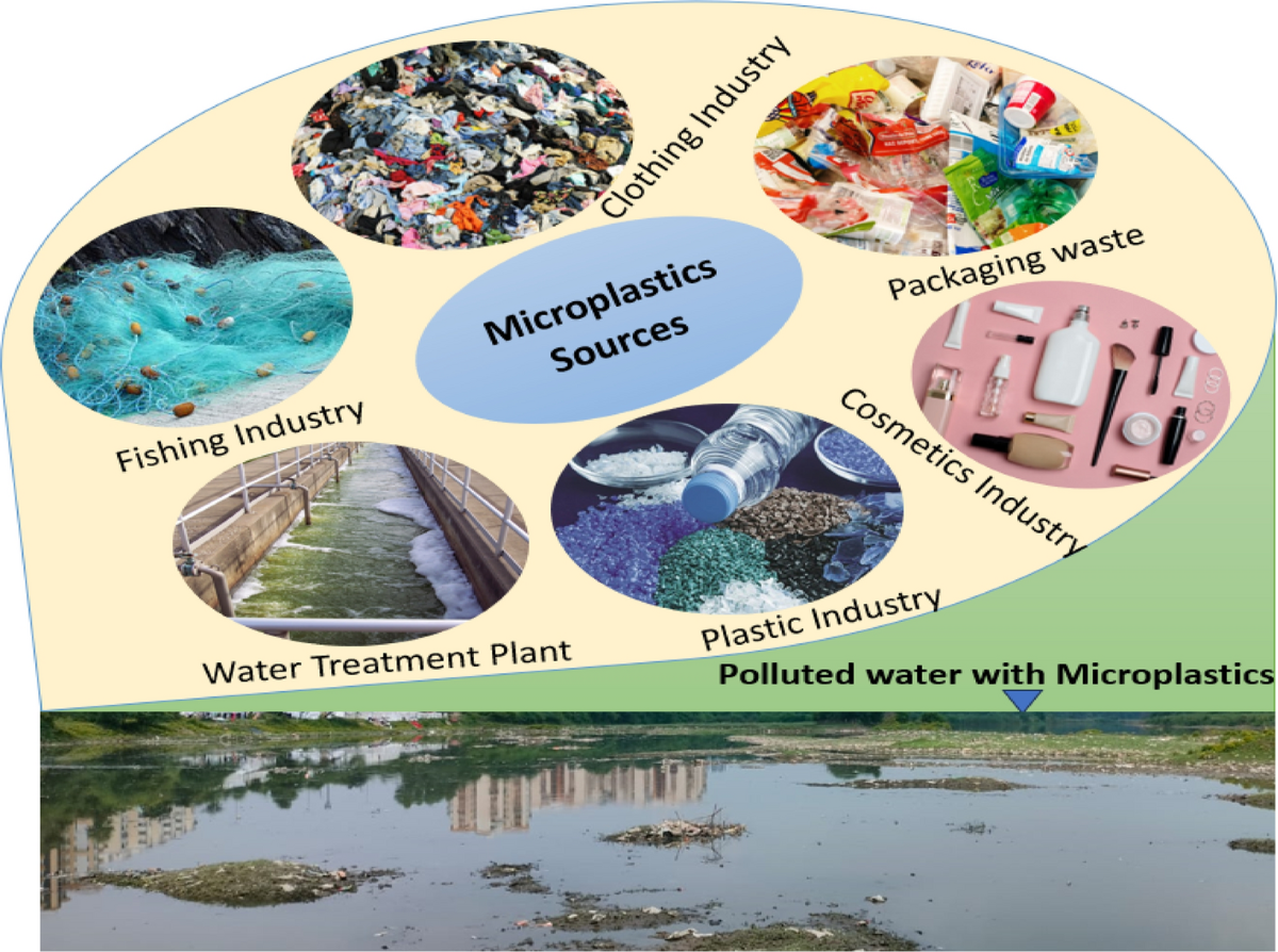 Microplastics pollution in the rivers, its source, and impact on aquatic  life: a review | International Journal of Environmental Science and  Technology | Springer Nature Link