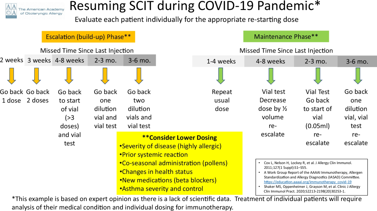 allergy-and-immunotherapy-during-the-pandemic-current-otorhinolaryngology-reports