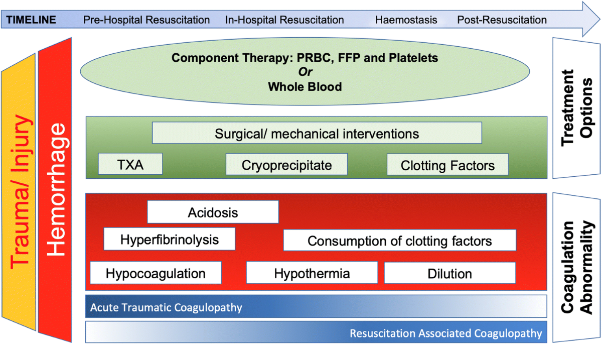 Is Fresh Frozen Plasma Still Necessary for Management of Acute Traumatic  Coagulopathy? | Current Anesthesiology Reports