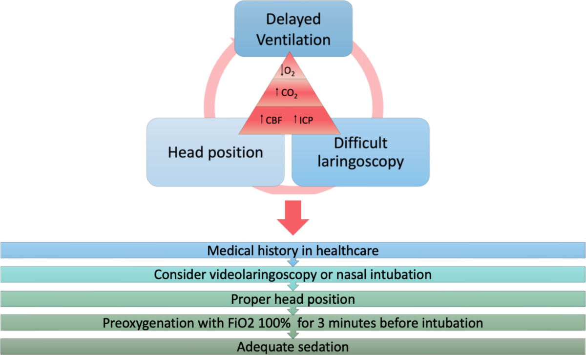 Perioperative Ventilation in Neurosurgical Patients: Considerations and  Challenges | Current Anesthesiology Reports | Springer Nature Link