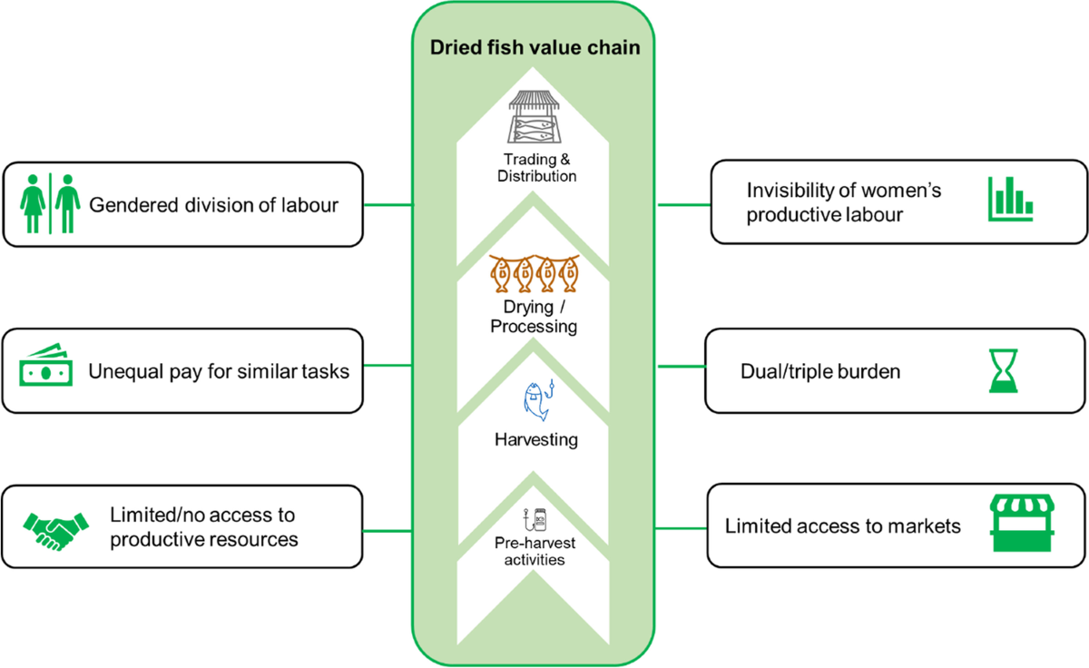 Linking social wellbeing and intersectionality to understand gender  relations in dried fish value chains | Maritime Studies