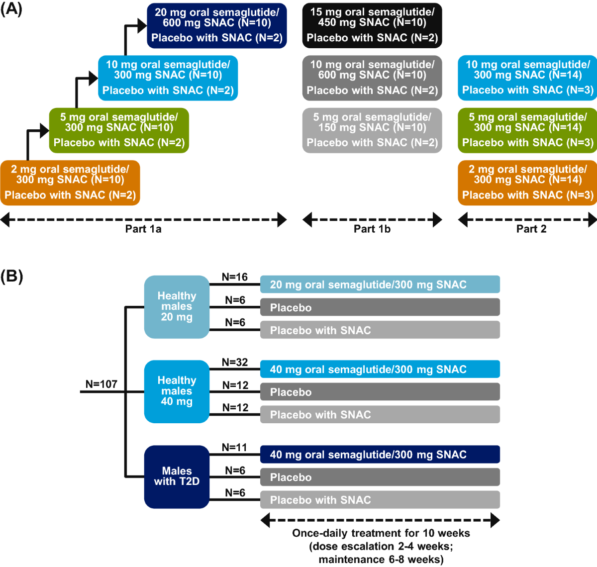 semaglutide levels Safety and Pharmacokinetics of Single and Multiple Ascending Doses of the  Novel Oral Human GLP-1 Analogue, Oral Semaglutide, in Healthy Subjects and  Subjects with Type 2 Diabetes | Clinical Pharmacokinetics