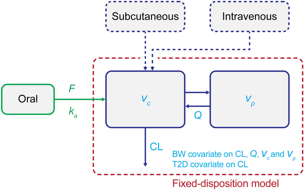 pharmacokinetics semaglutide Clinical Pharmacokinetics of Oral Semaglutide: Analyses of Data from  Clinical Pharmacology Trials | Clinical Pharmacokinetics