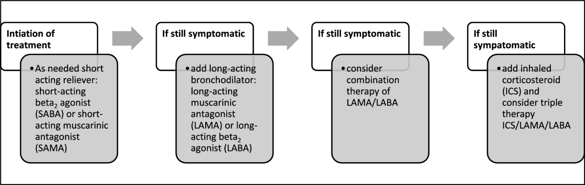 Chronic Obstructive Pulmonary Disease Adverse Event Signals Associated with Potential Inhibitors of Glutathione Peroxidase 1: A Sequence Symmetry Analysis | Drug Safety