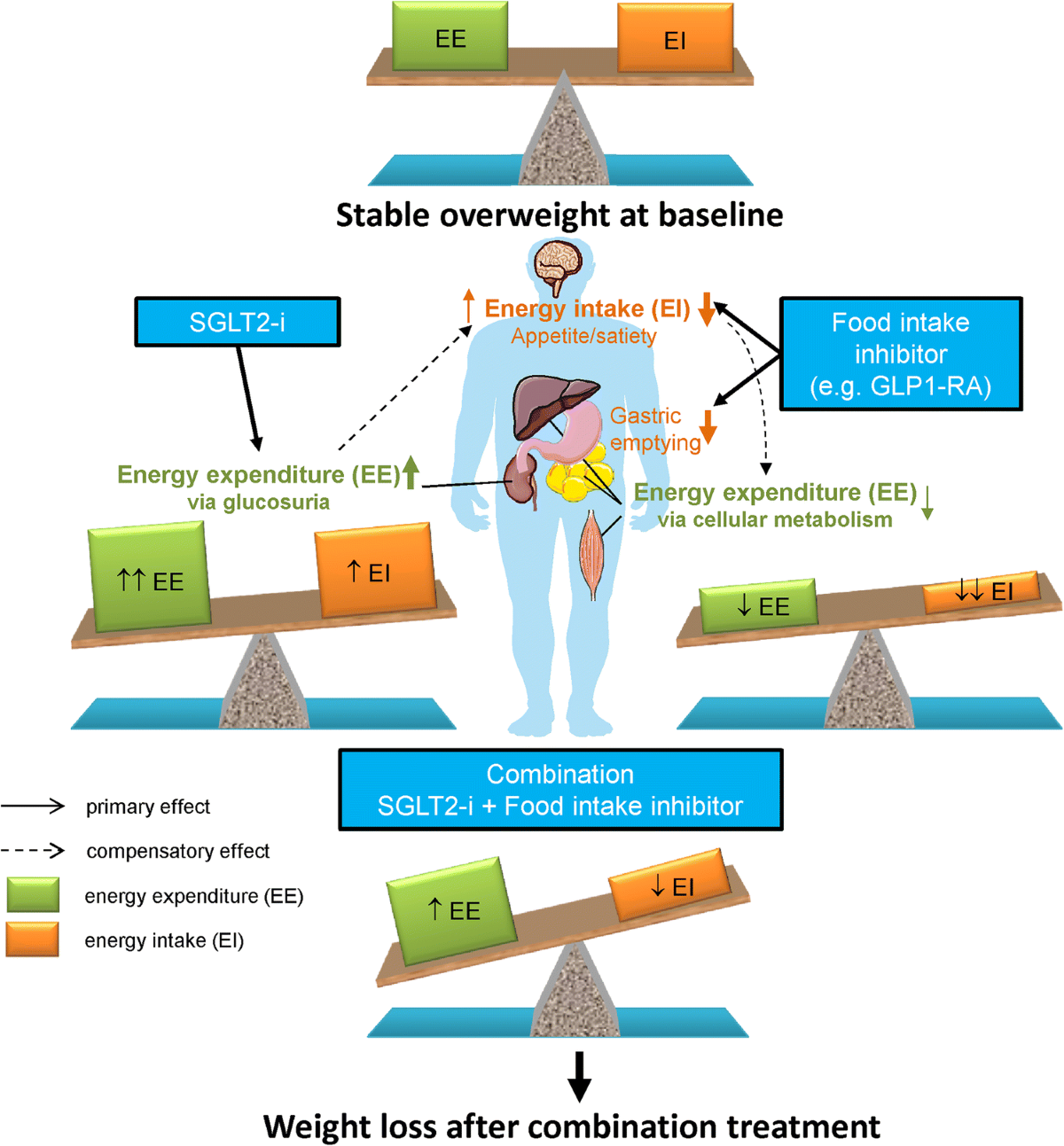 sglt2 glp 1 combination inhibitors + GLP-1 RAs may lower cardiorenal risk in T2D | Diabetologia posted on the topic SGLT2 Inhibitors vs. GLP-1 Agonists