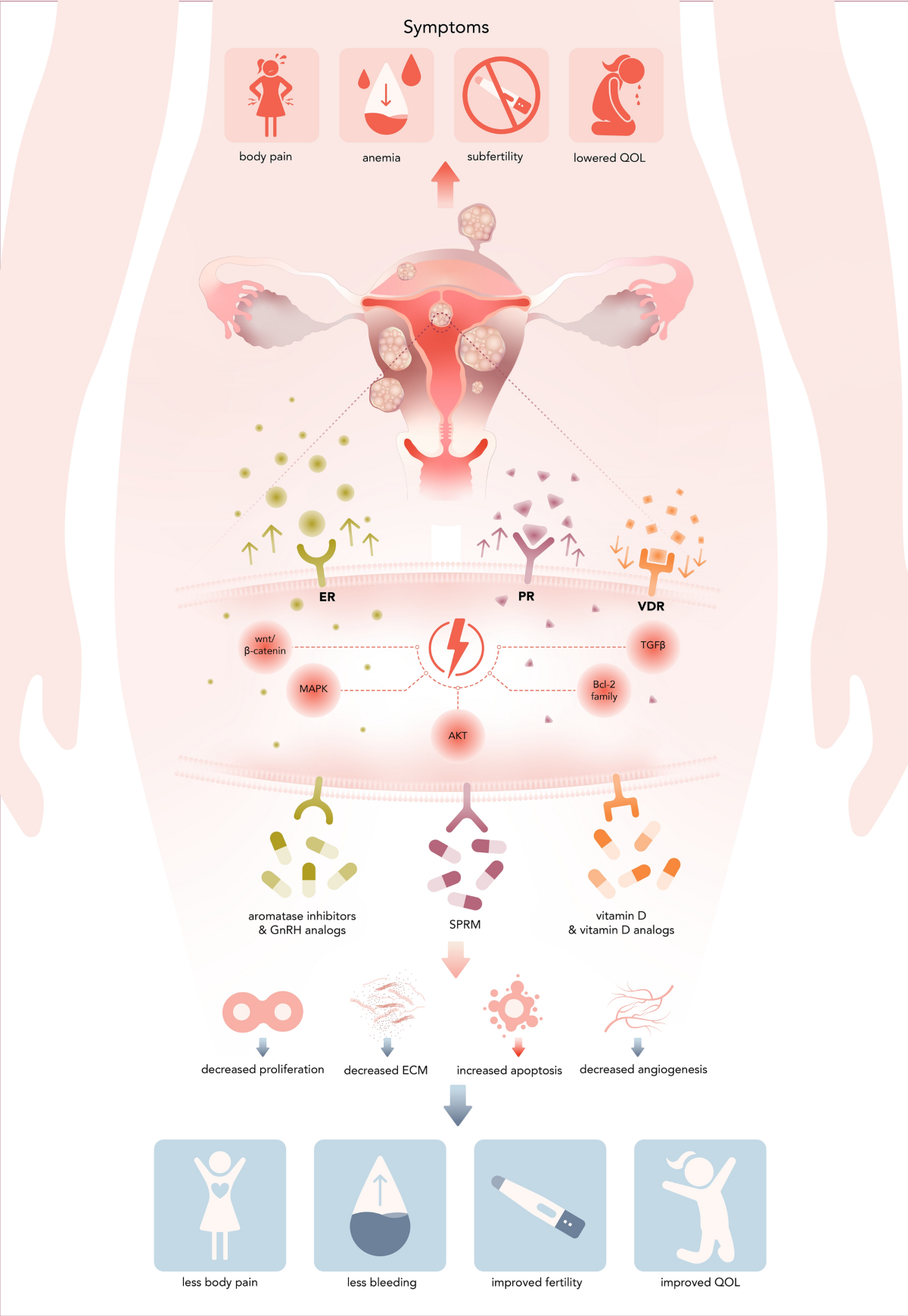 Current and Emerging Treatment Options for Uterine Fibroids | Drugs
