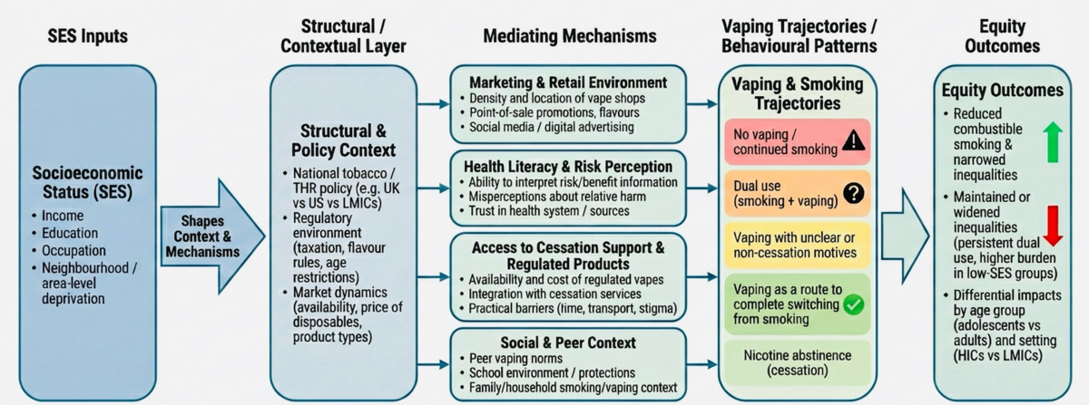 Socioeconomic Disparities in E-Cigarette Use: Patterns, Mechanisms, and  Equity Implications | Current Addiction Reports