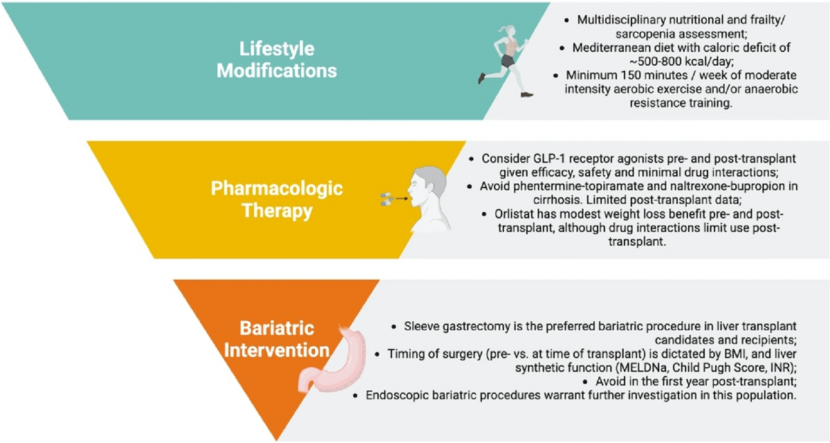 semaglutide weight loss brentwood Semaglutide and Tirzepatide for Weight Loss