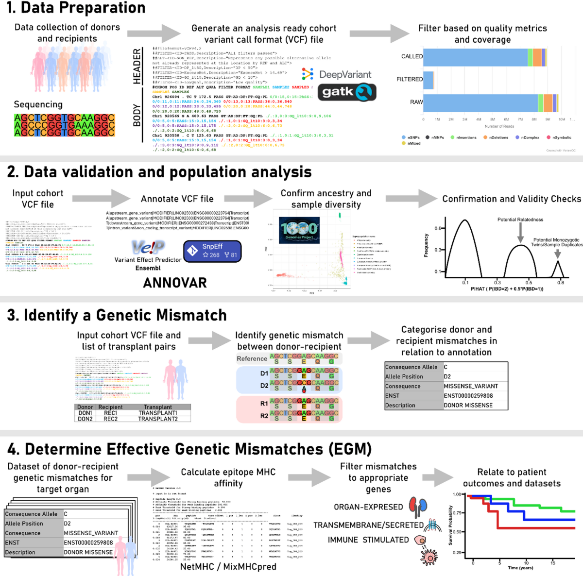 Genomic Donor-Recipient Mismatches in Kidney Transplantation: A Focus on  the Techniques and Approaches | Current Transplantation Reports | Springer  Nature Link