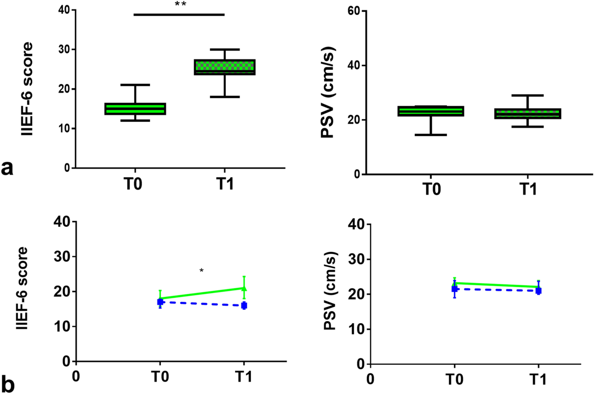 Long-term high-dose l-arginine supplementation in patients with vasculogenic erectile dysfunction: a multicentre, double-blind, randomized, placebo-controlled clinical trial | Journal of Endocrinological Investigation