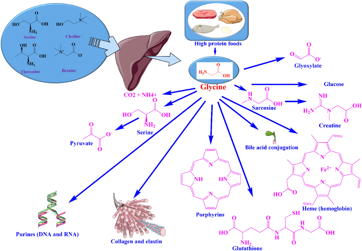 normal glutathione levels Glutathione Treatments 101: Part 1 — The Mother of All Antioxidants