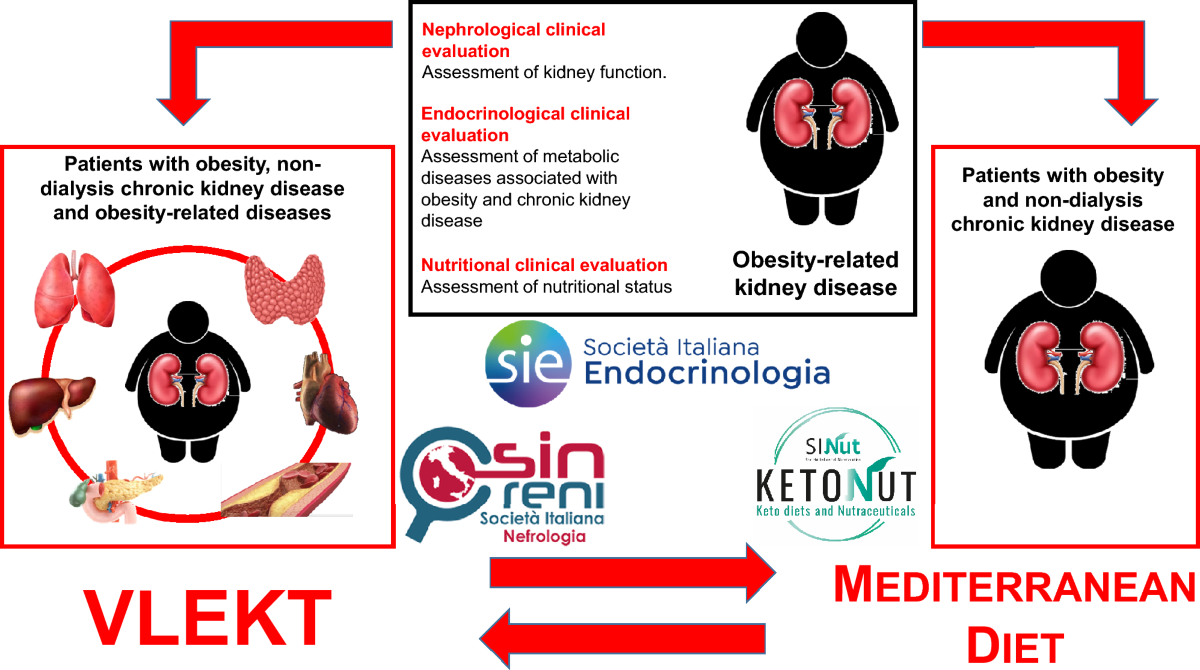 Nutritional assessment and medical dietary therapy for management of obesity in patients with non-dialysis chronic kidney disease: a practical guide for endocrinologist, nutritionists and nephrologists. A consensus statement from the Italian society for Dr Valencia Diet Plan Free Printable