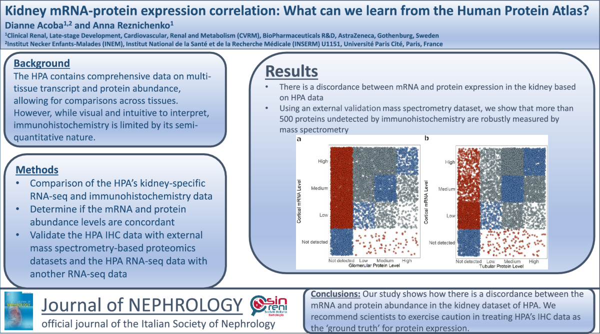 Kidney mRNA-protein expression correlation: what can we learn from the Human  Protein Atlas? | Journal of Nephrology