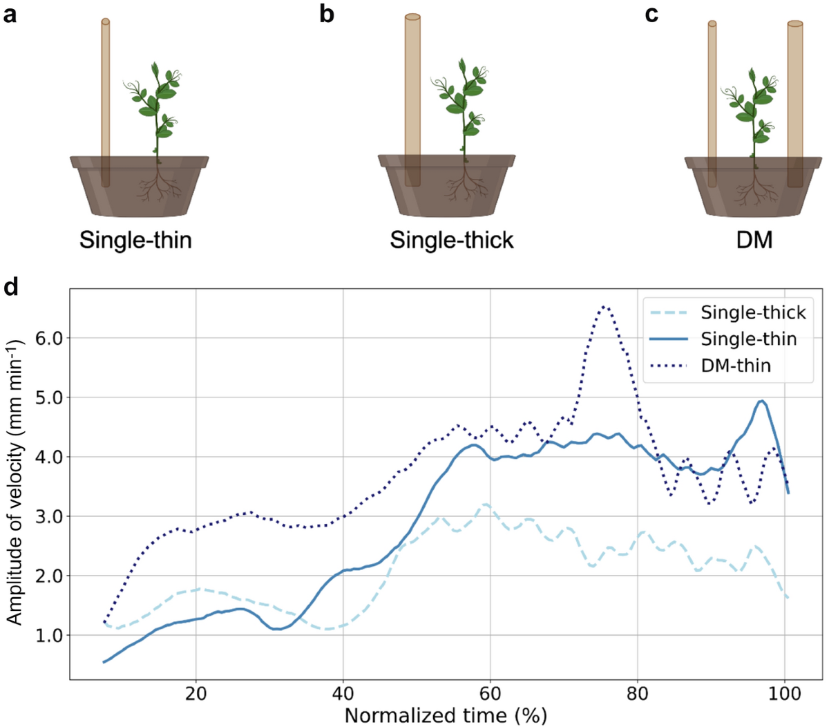 Motor cognition in plants: from thought to real experiments | Theoretical  and Experimental Plant Physiology