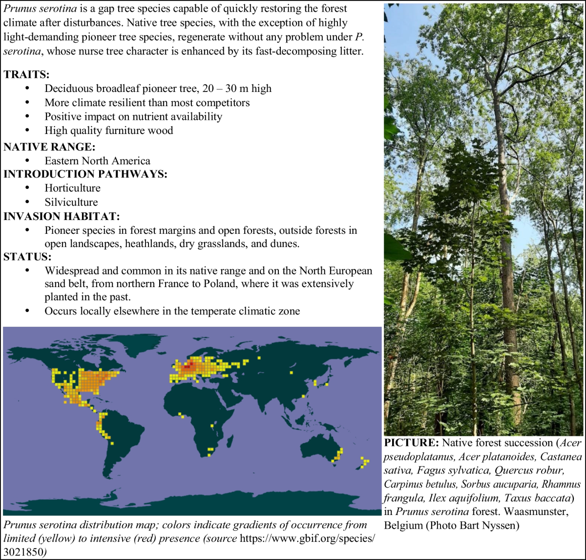 Established Invasive Tree Species Offer Opportunities for Forest 