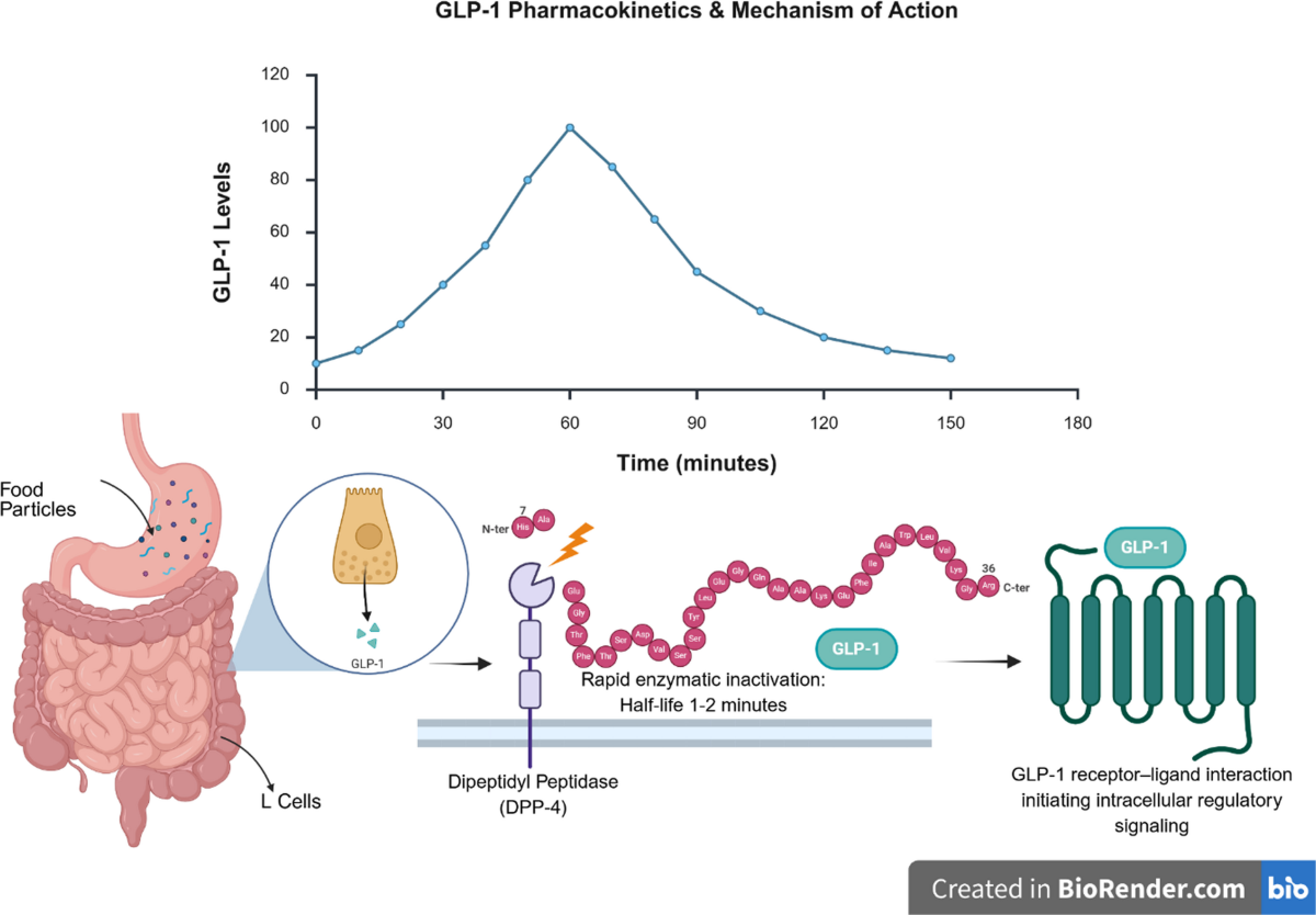 Glucagon-Like Peptide-1 (GLP-1) Receptor Agonists in Pediatric Obesity |  Current Treatment Options in Pediatrics