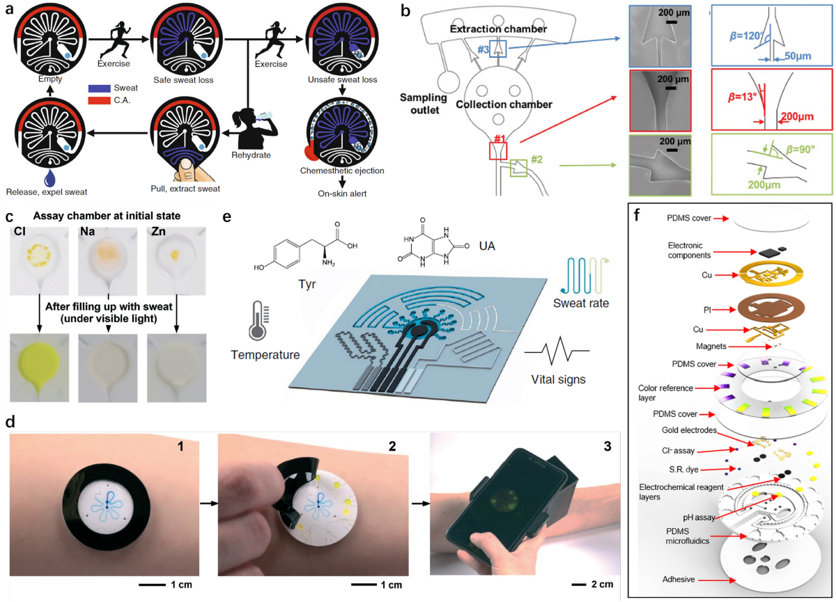 Soft Electronics for Health Monitoring Assisted by Machine Learning