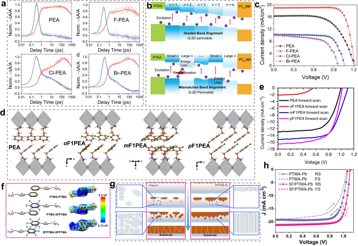 Molecular Structure Tailoring of Organic Spacers for High-Performance  Ruddlesden–Popper Perovskite Solar Cells | Nano-Micro Letters | Springer  Nature Link