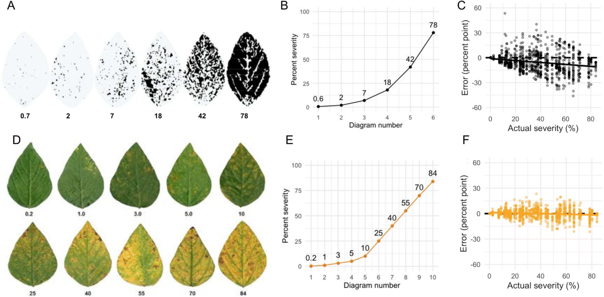 Plant disease severity estimated visually: a century of research, best  practices, and opportunities for improving methods and practices to  maximize accuracy | Tropical Plant Pathology | Springer Nature Link