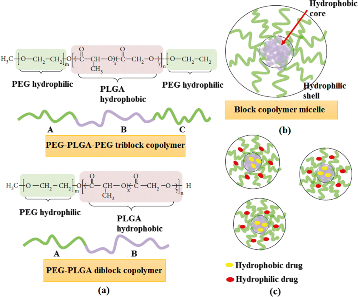 bio-nanocomposite-polymer-hydrogels-containing-nanoparticles-for-drug-delivery-a-review-regenerative-engineering-and-translational-medicine