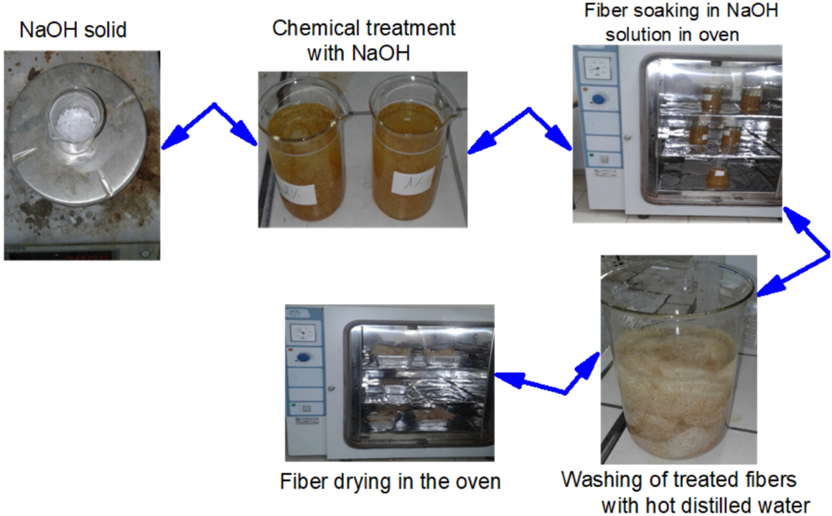 Enhancement of thermomechanical and structural properties of tunisian luffa  fibers by alkaline treatment for eco-composite applications |  Euro-Mediterranean Journal for Environmental Integration