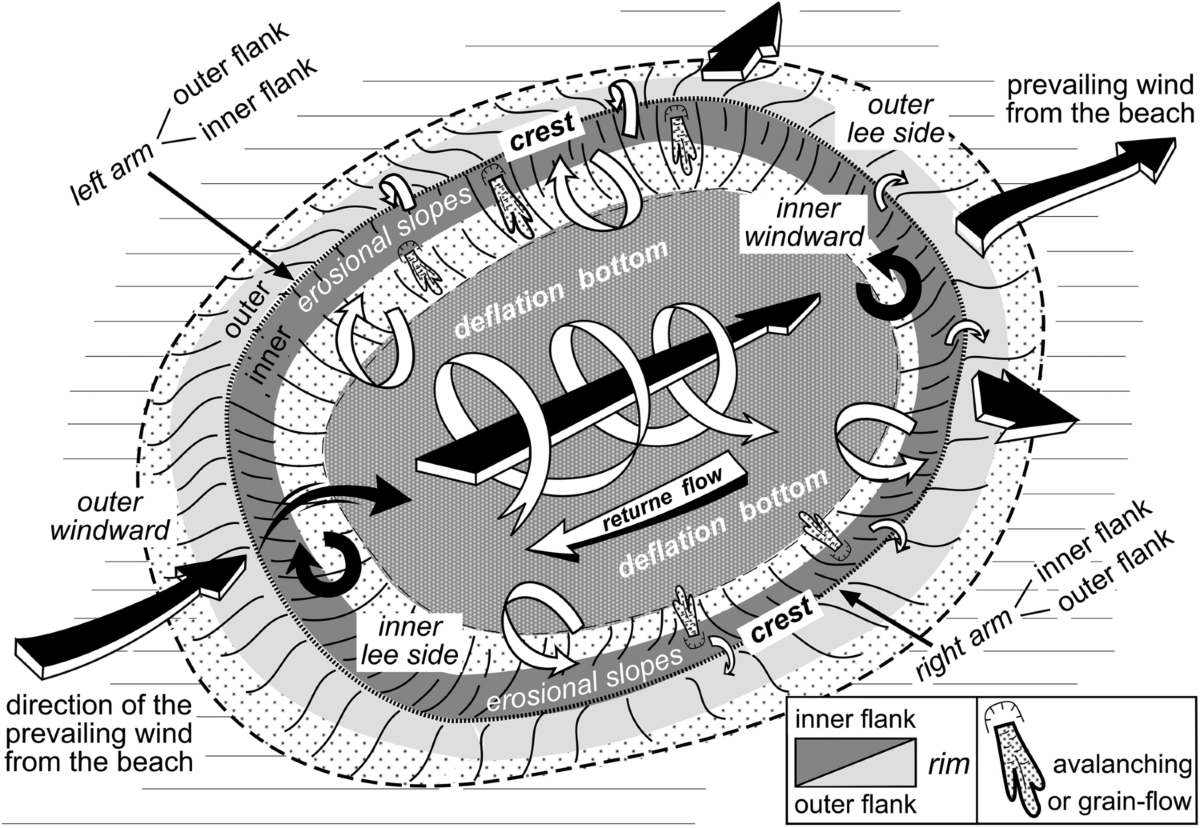 Saucer blowouts in the coast dune fields of NW Spain | Journal of Iberian  Geology | Springer Nature Link