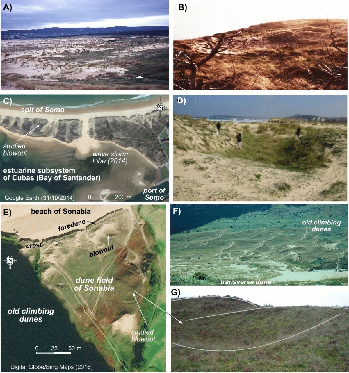 Saucer blowouts in the coast dune fields of NW Spain | Journal of Iberian  Geology | Springer Nature Link