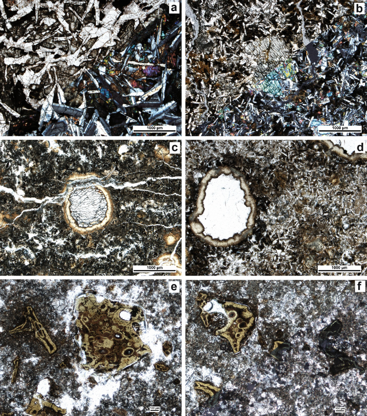 -^^-te, image size:1200x1361