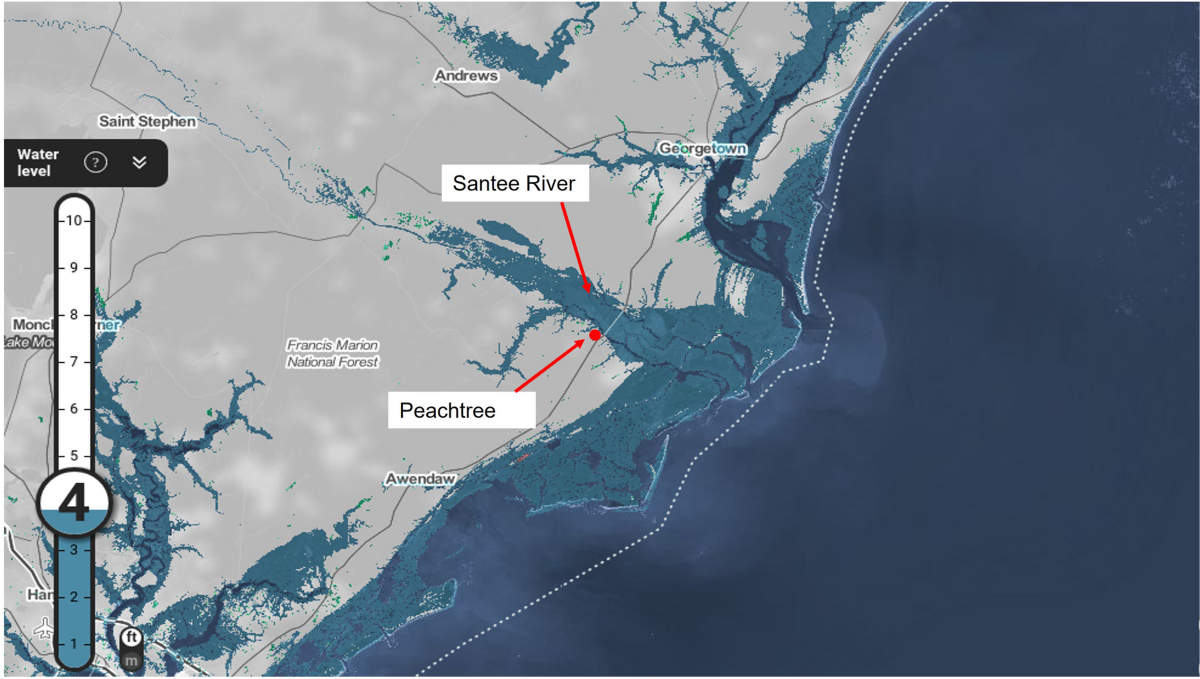 Mosquitoes, Landscapes, Ruins, and Artifacts: The Evolution of the  Peachtree Plantation Rice Culture Landscape | Historical Archaeology |  Springer Nature Link