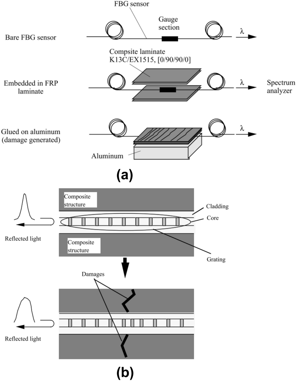 An FBG‐based optical pressure sensor for the measurement of radial artery  pulse pressure - Gowda - 2024 - Journal of Biophotonics - Wiley Online  Library, image size:966x1243
