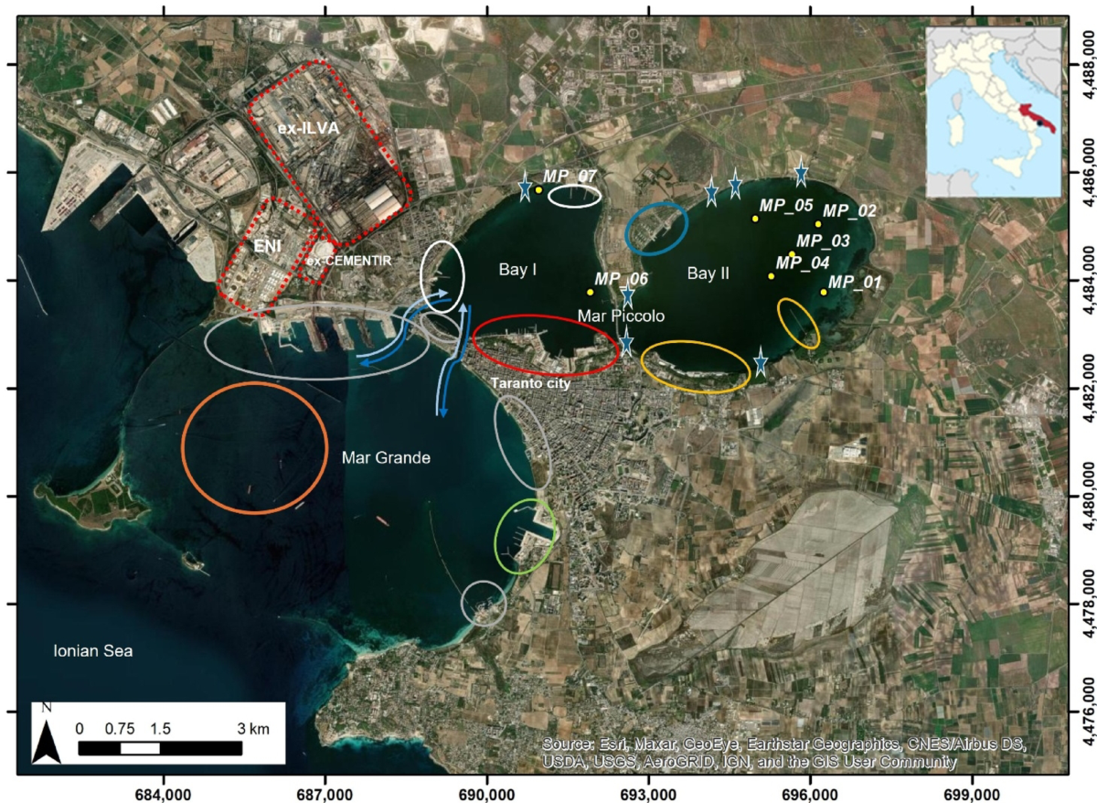 Rediscovering Lutra lutra from Grotta Romanelli (southern Italy) in the  framework of the puzzling evolutionary history of Eurasian otter | PalZ, image size:1200x878