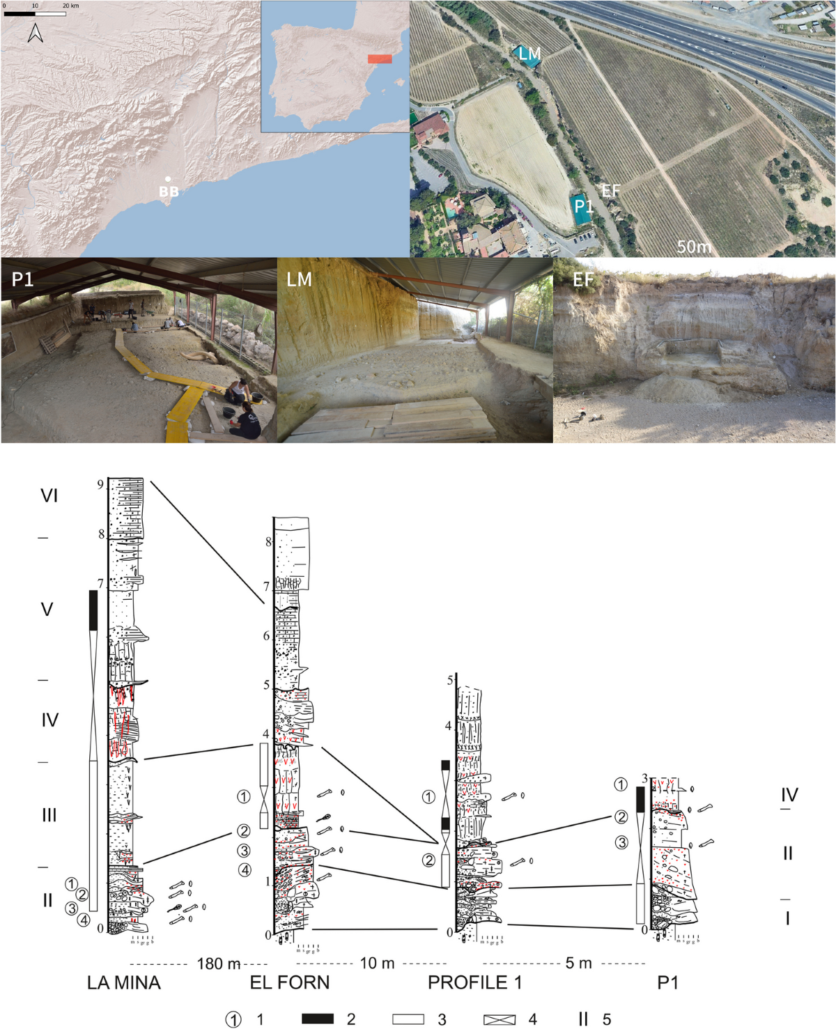 Beyond Large-Shaped Tools: Technological Innovations and Continuities at  the Late Early Pleistocene Assemblage of El Barranc de la Boella  (Tarragona, Spain) | Journal of Paleolithic Archaeology | Springer Nature  Link