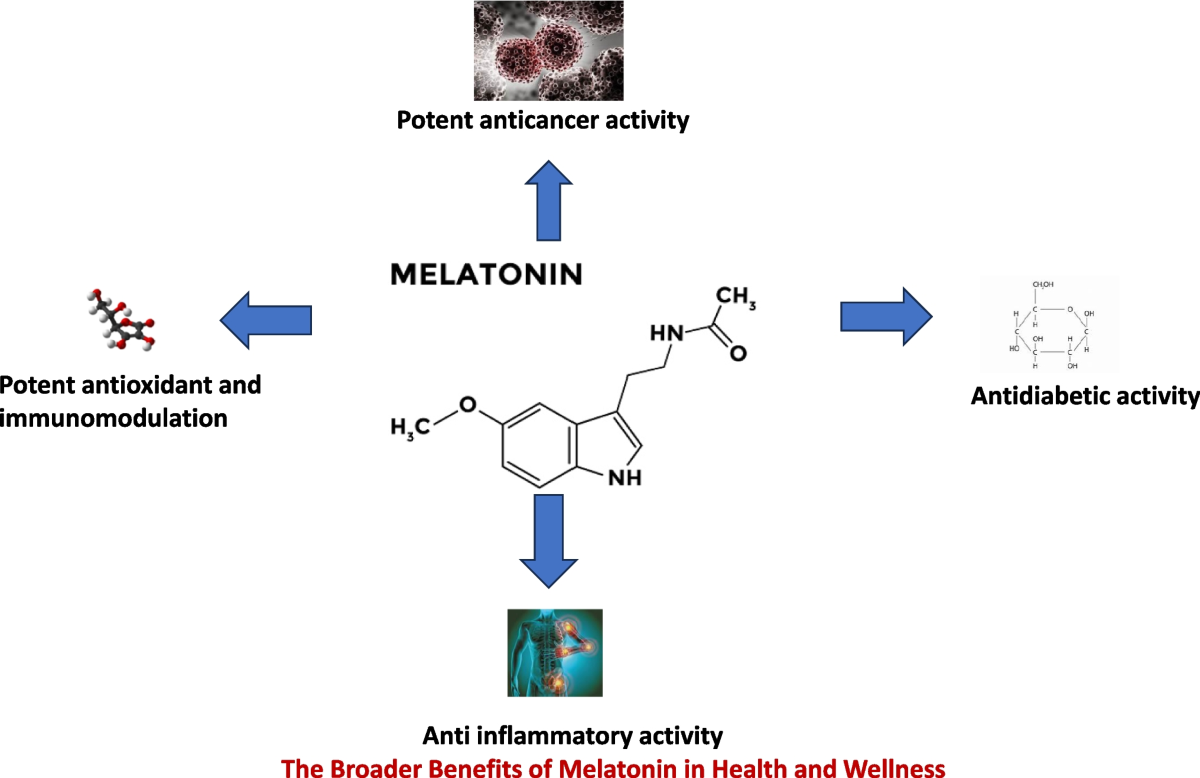 the most powerful antioxidant is melatonin not glutathione Transformation by activity Why Cant You Buy Melatonin