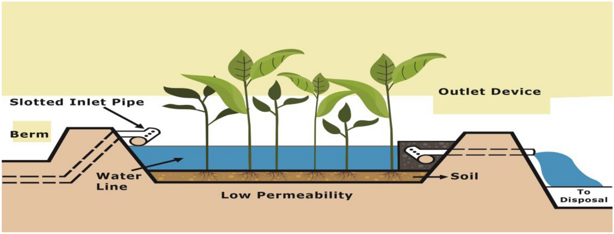 Constructed wetland systems for greywater treatment and reuse: a ...