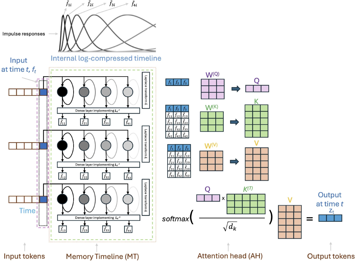 Time-Local Transformer | Computational Brain & Behavior