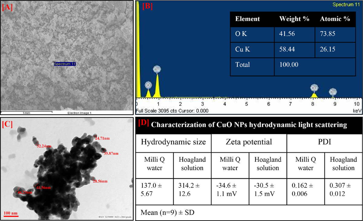 Impact of copper oxide nanoparticles on uptake, cellular distribution, growth, ionome, antioxidant defense system and essential oil composition of Ocimum basilicum L. | Environmental Sustainability | Springer Nature Link Impact of copper oxide nanoparticles on uptake, cellular distribution, growth, ionome, antioxidant defense system and essential oil composition of Ocimum basilicum L. | Environmental Sustainability | Springer Nature Link