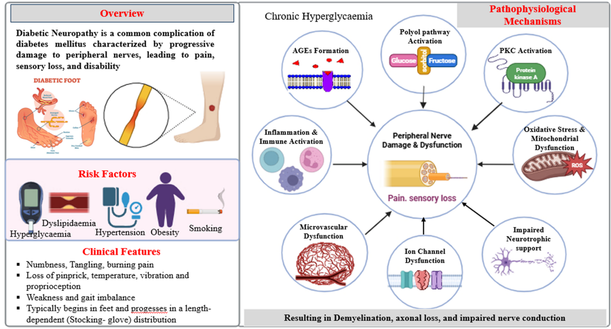 glutathione and diabetic neuropathy Targeting Oxidative Stress Mitochondrial Dysfunction in Neuropathy: Mechanisms and Therapeutic Opportunities New Horizons in Diabetic Neuropathy: