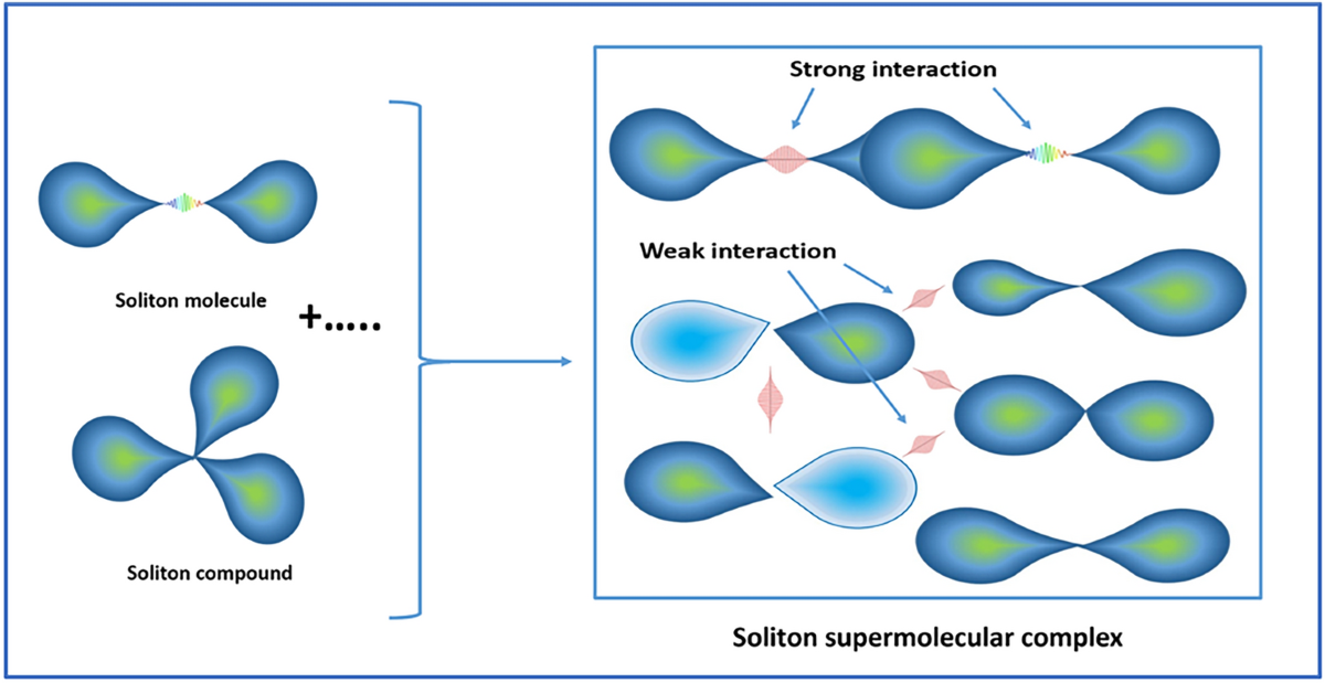 Evolution of a solitary wave: optical soliton, soliton molecule 